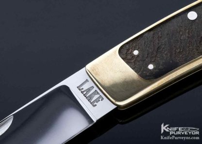 Ron Lake Custom Knife Brass Interframe Cape Buffalo Horn Tail Lock - Image 2