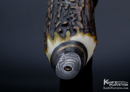 Kevin Casey Custom Knife Stag S-Guard Fighter with Feather Damascus - Image 5