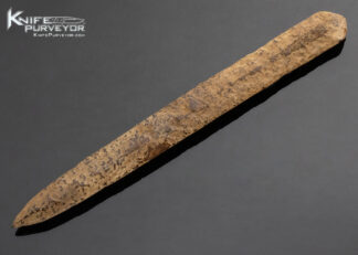 Fossilized Walrus Artifact Letter Opener 14356