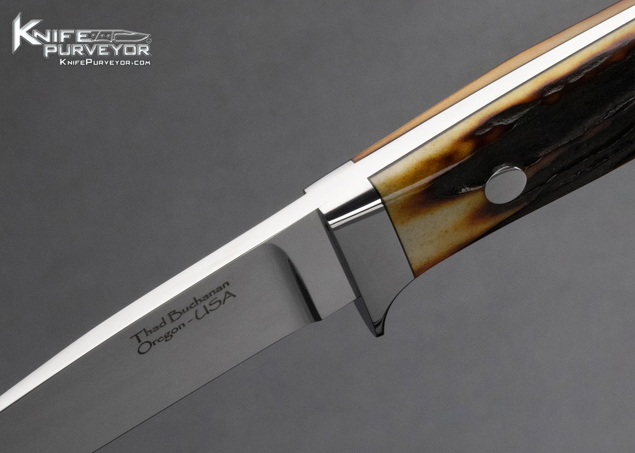 Thad Buchanan Custom Knife Amber Stag Utility Knife - Image 7