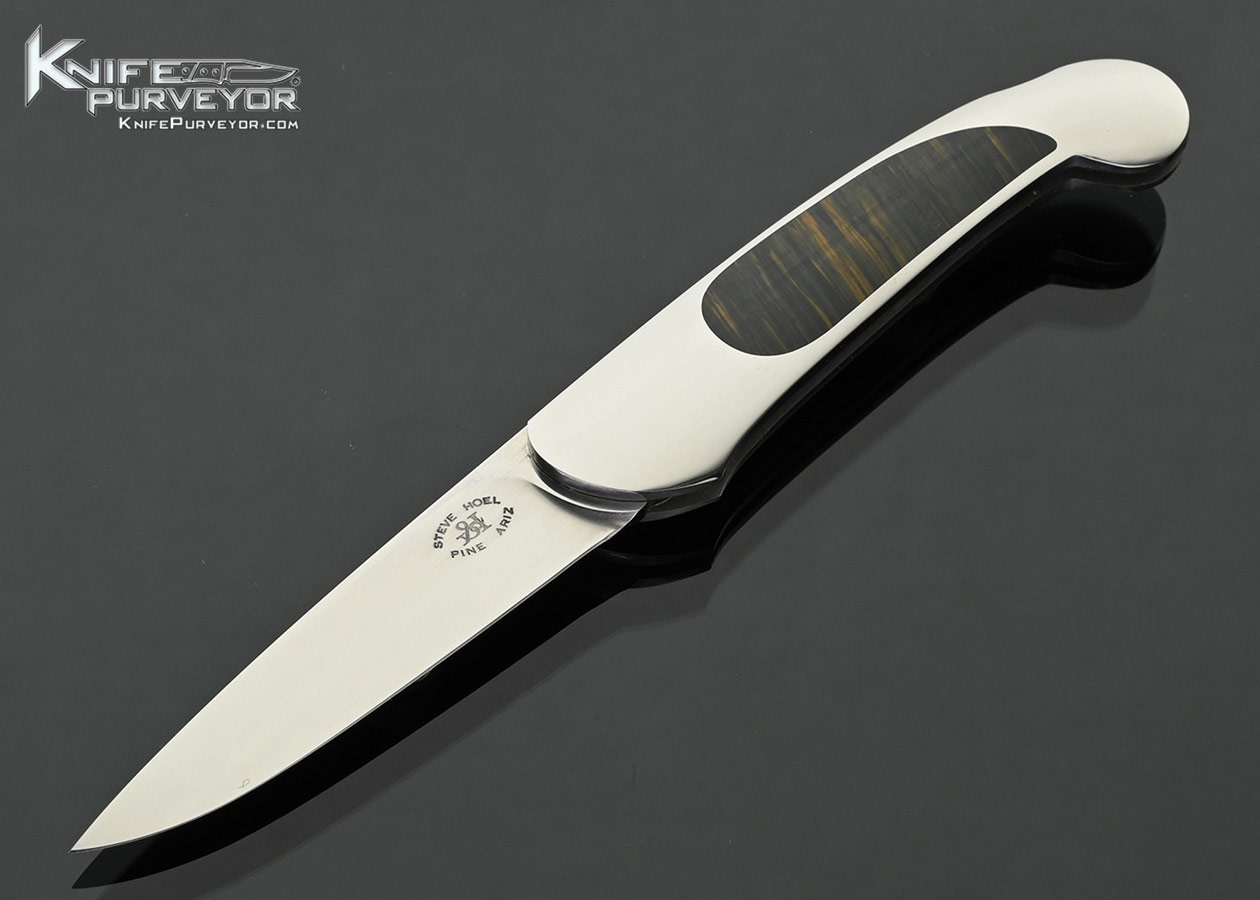 Steve Hoel Custom Knife Tiger Eye Interframe Lockback Folder
