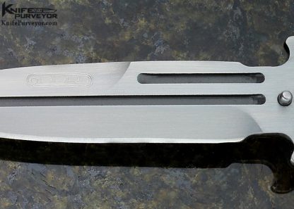 Darrel Ralph Custom Knife DRT Venturi V82 Titanium Twist Handle Bayonet Dagger - Image 2
