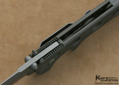 Pat Crawford Custom Knife Perfigo Linerlock - Image 5