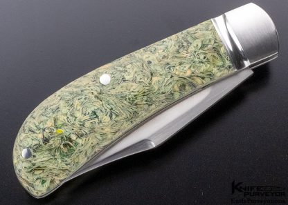 Dr T. David Taber Custom Knife Shredded Money Lanny's Clip Slip Joint - Image 5