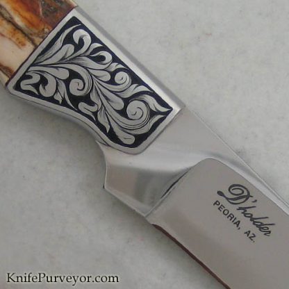 D'Holder Custom Knife Mammoth Ivory Slim Hunter Engraved by Pat Holder - Image 2