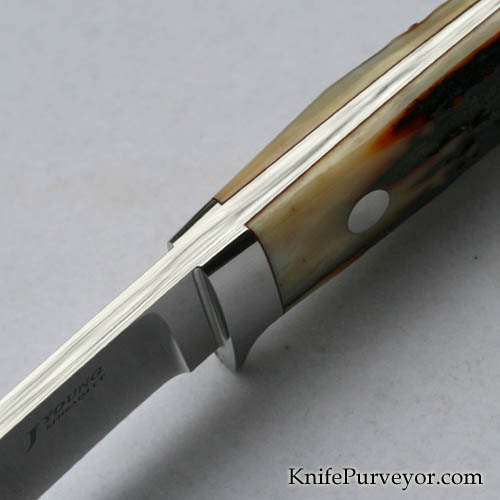 John Young Custom Knife Amber Stag Drop Point Hunter - Image 3