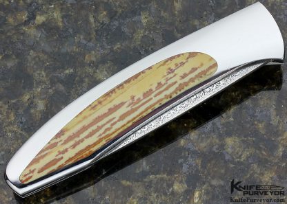 Scott Sawby Custom Knife Damasteel & Jasper Interframe Tern Selflock - Image 3