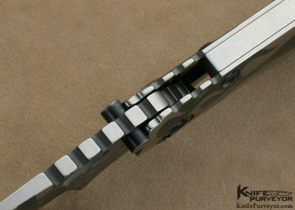 Strider Custom Knife 1 of 18 Custom Strider MSC/Starlingear LTDÃ‚Â Titanium SMF "G2 SUMMIT" Collaboration Knife - Image 8