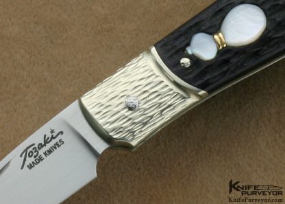 Shigeru Tozaki Custom Knife Textured 416 Stainless Steel Bolstered Green Jigged Bone Slip Joint - Image 2